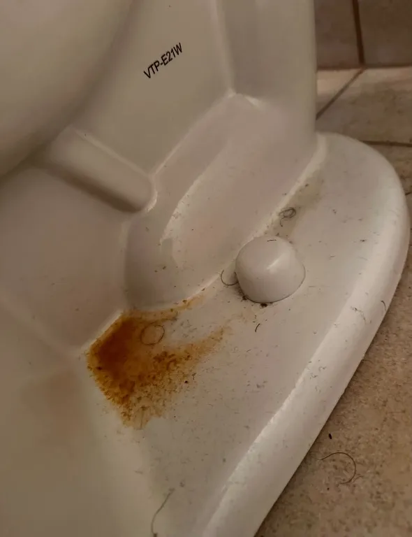 Toilet detail clean — before
