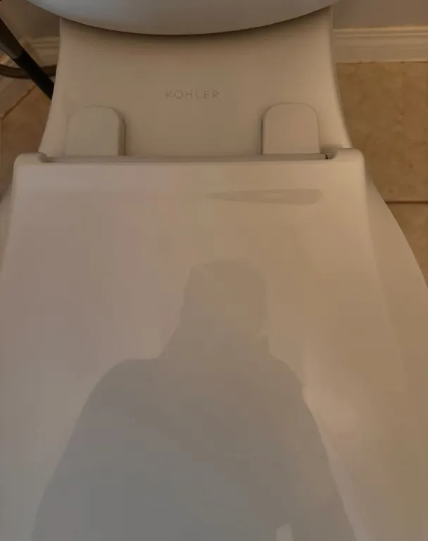 Toilet seat & hinges — after